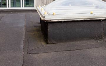 disadvantages of Mynyddislwyn flat roofs